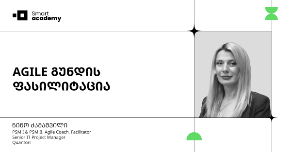 AGILE გუნდის ფასილიტაცია